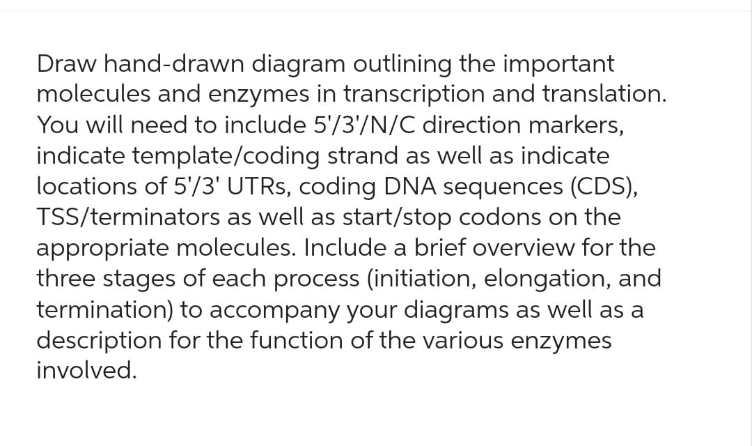 Draw hand-drawn diagram outlining the important
molecules and enzymes in transcription and translation.
You will need to include 5'/3'/N/C direction markers,
indicate template/coding strand as well as indicate
locations of 5'/3' UTRs, coding DNA sequences (CDS),
TSS/terminators as well as start/stop codons on the
appropriate molecules. Include a brief overview for the
three stages of each process (initiation, elongation, and
termination) to accompany your diagrams as well as a
description for the function of the various enzymes
involved.