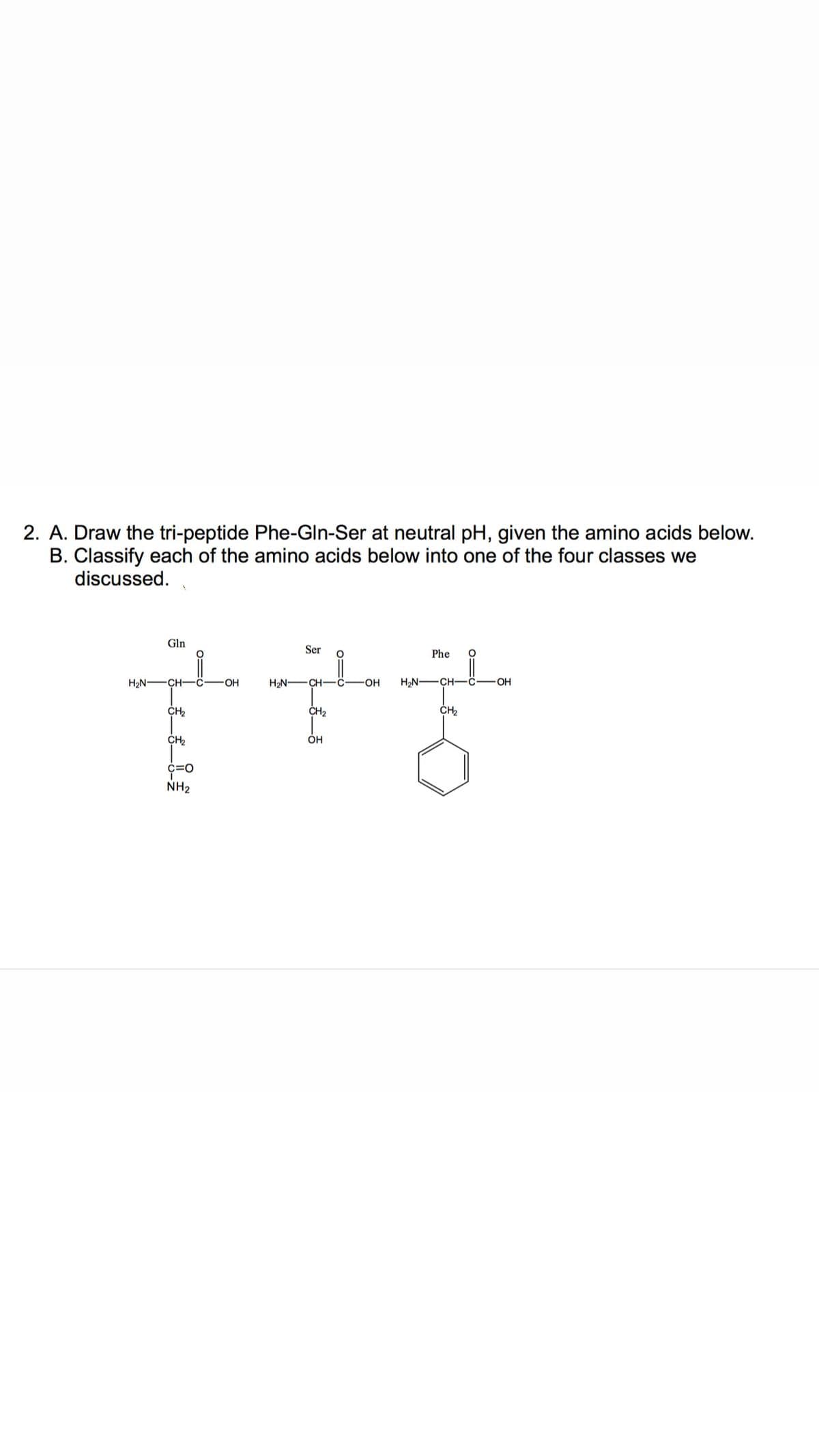 2. A. Draw the tri-peptide Phe-Gln-Ser at neutral pH, given the amino acids below.
B. Classify each of the amino acids below into one of the four classes we
discussed.
Gln
Ser
Phe
H2N
CH
OH
H2N -CH-
OH
H2N-CH-ċ
OH
CH
CH2
NH2
