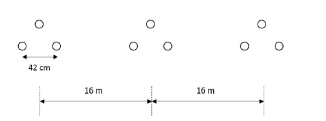 42 cm
16 m
16 m