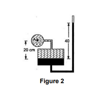 40
20 cm
Figure 2
