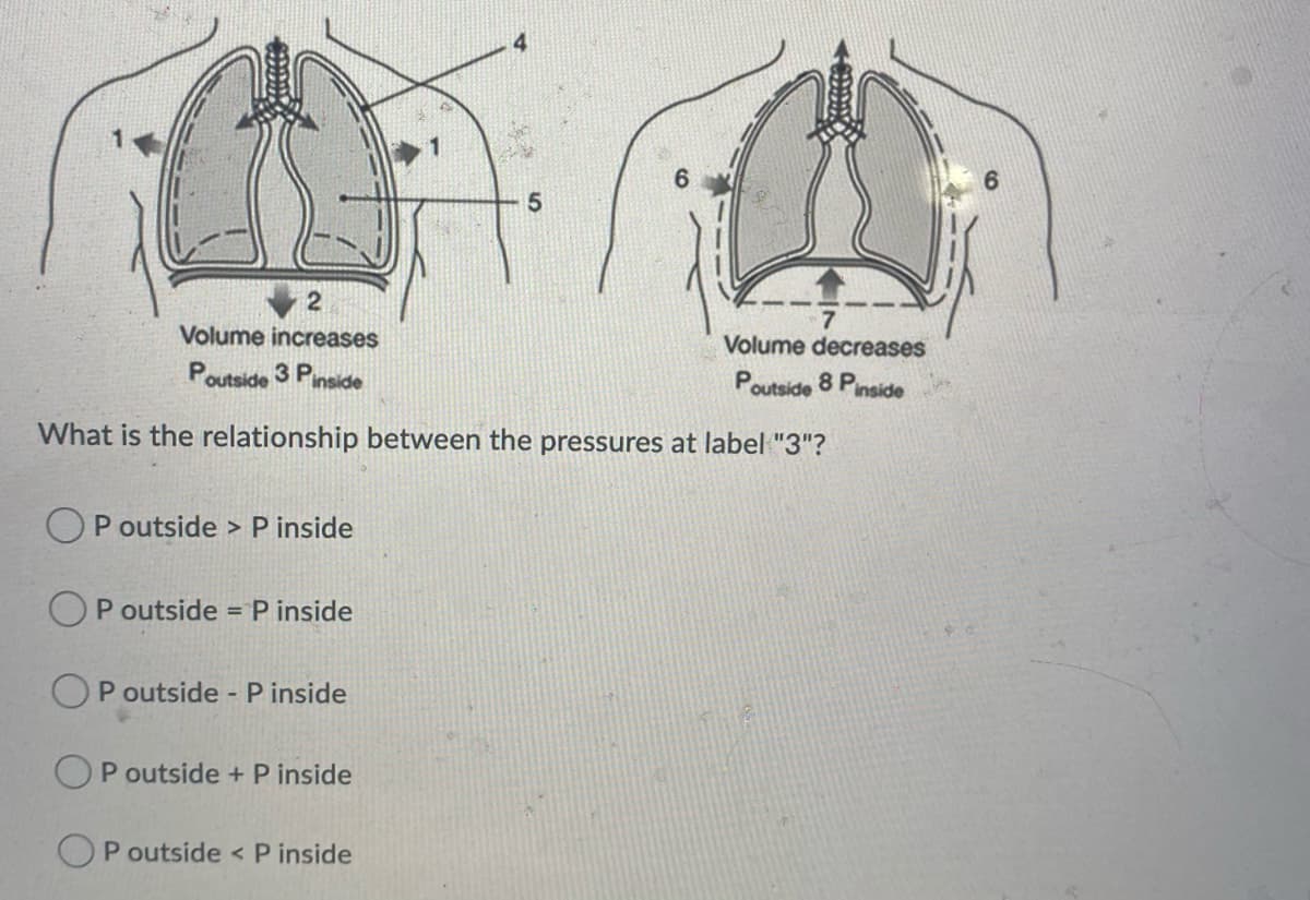 4
1
6.
2
Volume increases
Volume decreases
Poutside 3 Pinside
Poutside
8 Pinside
What is the relationship between the pressures at label "3"?
P outside > P inside
OP outside = P inside
OP outside P inside
P outside + P inside
P outside < P inside
