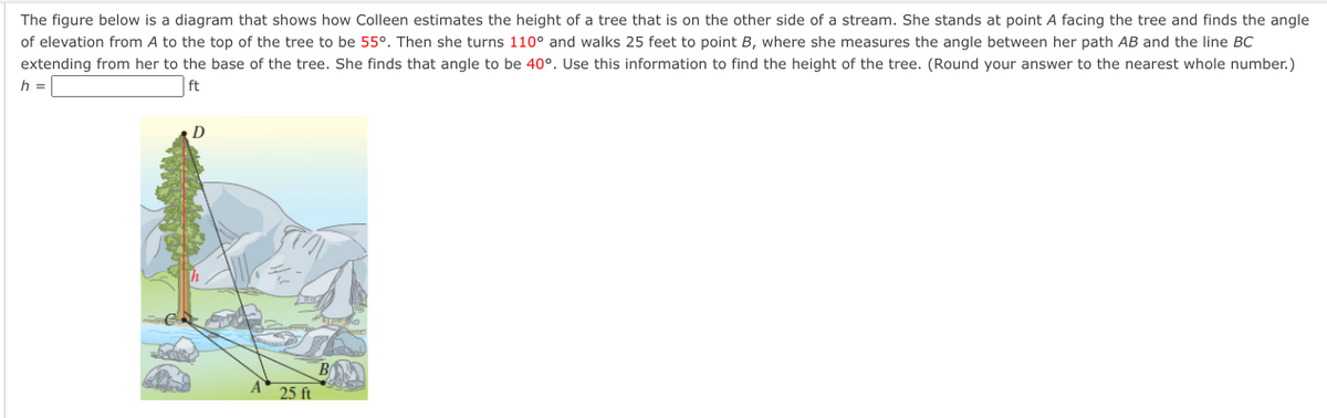The figure below is a diagram that shows how Colleen estimates the height of a tree that is on the other side of a stream. She stands at point A facing the tree and finds the angle
of elevation from A to the top of the tree to be 55°. Then she turns 110° and walks 25 feet to point B, where she measures the angle between her path AB and the line BC
extending from her to the base of the tree. She finds that angle to be 40°. Use this information to find the height of the tree. (Round your answer to the nearest whole number.)
h =
ft
D
A 25 ft
