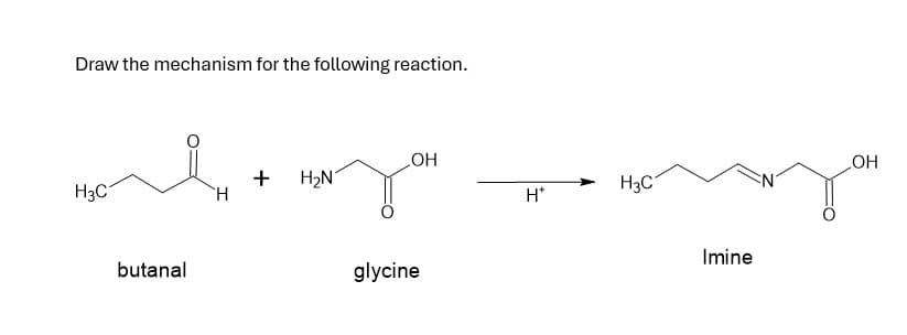 Draw the mechanism for the following reaction.
OH
+
H2N
H3C
H3C
Н*
butanal
glycine
Imine
OH