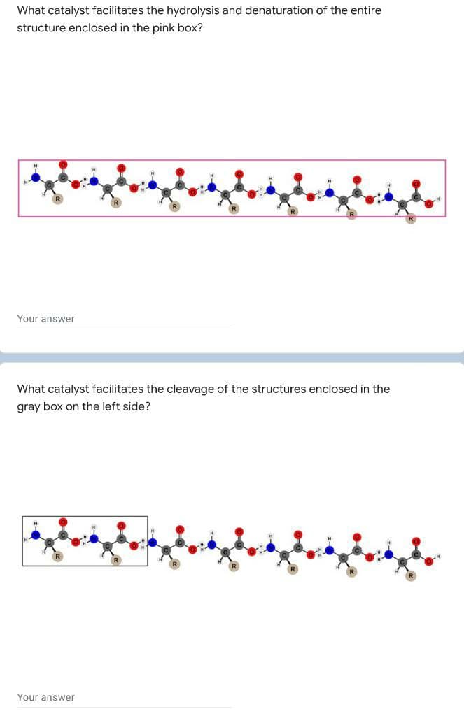 What catalyst facilitates the hydrolysis and denaturation of the entire
structure enclosed in the pink box?
Your answer
What catalyst facilitates the cleavage of the structures enclosed in the
gray box on the left side?
Your answer
