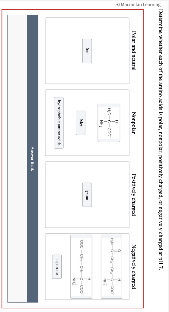 Macmillan Learning
Determine whether each of the amino acids is polar, nonpolar, positively charged, or negatively charged at pH 7.
Polar and neutral
Ser
Nonpolar
H
H3C-C-COO
NH3
Met
hydrophobic amino acids
Answer Bank
Positively charged
lysine
Negatively charged
i
H₂N-C-CH₂-CH₂- C-COO
NH3
H
OOC-CH₂-CH₂-C-COO
aspartate
NH3