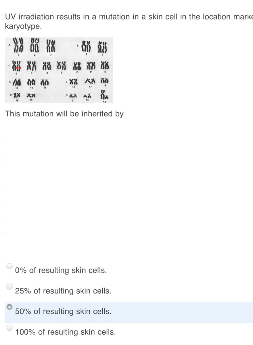 UV irradiation results in a mutation in a skin cell in the location marke
karyotype.
8
10
11
D
18
13
14
15
16
17
F XX
XX
19
20
21
22
XY
This mutation will be inherited by
0% of resulting skin cells.
25% of resulting skin cells.
50% of resulting skin cells.
100% of resulting skin cells.
