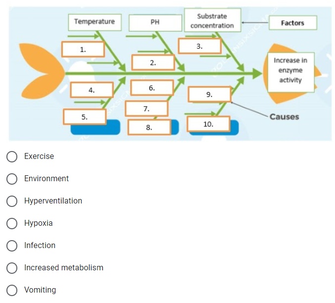 Substrate
Temperature
PH
Factors
concentration
3.
1.
2.
Increase in
enzyme
activity
4.
6.
9.
7.
5.
Causes
10.
8.
Exercise
Environment
Hyperventilation
Нуроxia
Infection
Increased metabolism
O Vomiting
