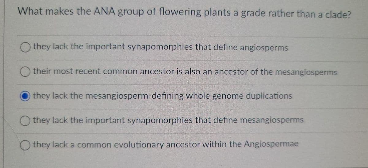 What makes the ANA group of flowering plants a grade rather than a clade?
they lack the important synapomorphies that define angiosperms
their most recent common ancestor is also an ancestor of the mesangiosperms
they lack the mesangiosperm-defining whole genome duplications
they lack the important synapomorphies that define mesangiosperms
they lack a common evolutionary ancestor within the Angiospermae
