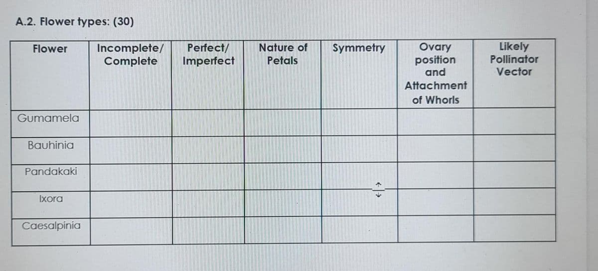 A.2. Flower types: (30)
Ovary
position
and
Likely
Pollinator
Nature of
Symmetry
Incomplete/
Complete
Perfect/
Imperfect
Flower
Petals
Vector
Attachment
of Whorls
Gumamela
Bauhinia
Pandakaki
Ixora
Caesalpinia
