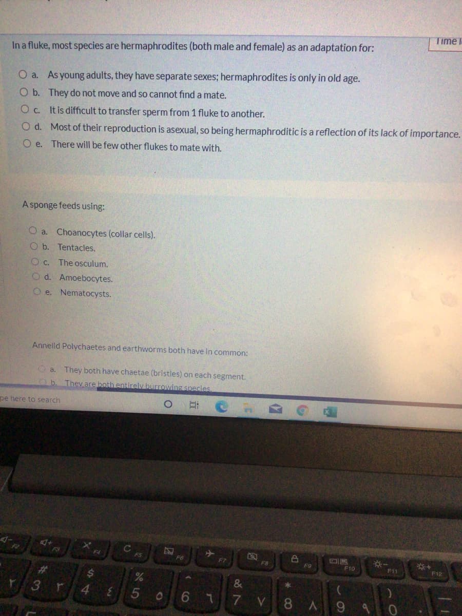 Time
In a fluke, most species are hermaphrodites (both male and female) as an adaptation for:
O a. Asyoung adults, they have separate sexes; hermaphrodites is only in old age.
O b. They do not move and so cannot find a mate.
O c. It is difficult to transfer sperm from 1 fluke to another.
O d. Most of their reproduction is asexual, so being hermaphroditic is a reflection of its lack of importance.
O e. There will be few other flukes to mate with.
A sponge feeds using:
O a. Choanocytes (collar cells).
O b. Tentacles.
O c.
The osculum.
O d. Amoebocytes.
O e. Nematocysts.
Annelid Polychaetes and earthworms both have in common:
O a.
They both have chaetae (bristles) on each segment.
Ob.
They are both entirely burrowing species.
pe here to search
F2
F5
F6
F7
F8
F9
F10
F11
F12
%23
3
of
&
4.
3.
V.
8.

