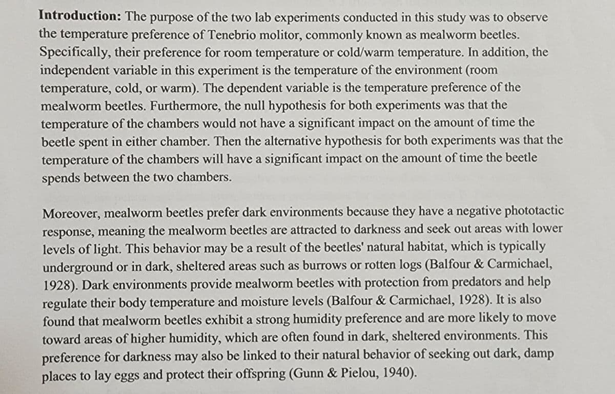 Introduction: The purpose of the two lab experiments conducted in this study was to observe
the temperature preference of Tenebrio molitor, commonly known as mealworm beetles.
Specifically, their preference for room temperature or cold/warm temperature. In addition, the
independent variable in this experiment is the temperature of the environment (room
temperature, cold, or warm). The dependent variable is the temperature preference of the
mealworm beetles. Furthermore, the null hypothesis for both experiments was that the
temperature of the chambers would not have a significant impact on the amount of time the
beetle spent in either chamber. Then the alternative hypothesis for both experiments was that the
temperature of the chambers will have a significant impact on the amount of time the beetle
spends between the two chambers.
Moreover, mealworm beetles prefer dark environments because they have a negative phototactic
response, meaning the mealworm beetles are attracted to darkness and seek out areas with lower
levels of light. This behavior may be a result of the beetles' natural habitat, which is typically
underground or in dark, sheltered areas such as burrows or rotten logs (Balfour & Carmichael,
1928). Dark environments provide mealworm beetles with protection from predators and help
regulate their body temperature and moisture levels (Balfour & Carmichael, 1928). It is also
found that mealworm beetles exhibit a strong humidity preference and are more likely to move
toward areas of higher humidity, which are often found in dark, sheltered environments. This
preference for darkness may also be linked to their natural behavior of seeking out dark, damp
places to lay eggs and protect their offspring (Gunn & Pielou, 1940).