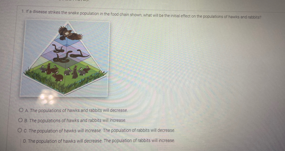 1. If a disease strikes the snake population in the food chain shown, what will be the initial effect on the populations of hawks and rabbits?
O A. The populations of hawks and rabbits will decrease.
O B. The populations of hawks and rabbits will increase.
O C. The population of hawks will increase. The population of rabbits will decrease.
D. The population of hawks will decrease. The population of rabbits will increase.
