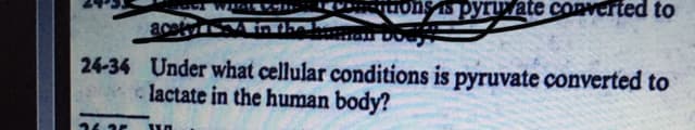 ons is pyruxate converted to
24-34 Under what cellular conditions is pyruvate converted to
lactate in the human body?
