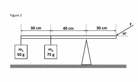 Figure 2
30 cm
40 cm
30 cm
30°
m2
75 g
50 g
