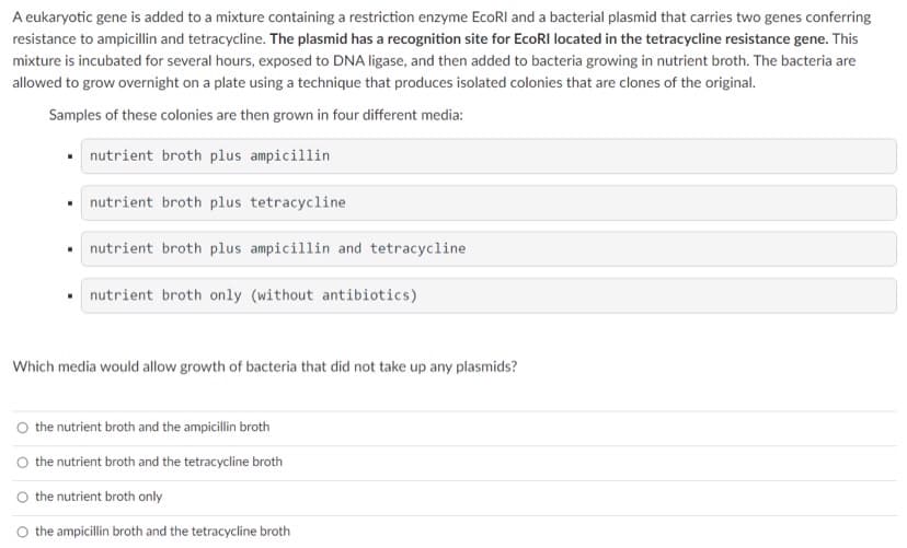 A eukaryotic gene is added to a mixture containing a restriction enzyme EcoRl and a bacterial plasmid that carries two genes conferring
resistance to ampicillin and tetracycline. The plasmid has a recognition site for EcoRI located in the tetracycline resistance gene. This
mixture is incubated for several hours, exposed to DNA ligase, and then added to bacteria growing in nutrient broth. The bacteria are
allowed to grow overnight on a plate using a technique that produces isolated colonies that are clones of the original.
Samples of these colonies are then grown in four different media:
• nutrient broth plus ampicillin
• nutrient broth plus tetracycline
nutrient broth plus ampicillin and tetracycline
nutrient broth only (without antibiotics)
Which media would allow growth of bacteria that did not take up any plasmids?
the nutrient broth and the ampicillin broth
the nutrient broth and the tetracycline broth
the nutrient broth only
the ampicillin broth and the tetracycline broth
