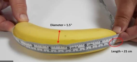 Diameter = 1.5"
%3D
CHNA
MAE
Length - 21 cm
