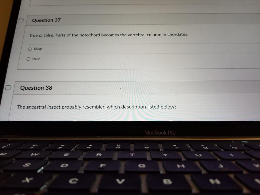 Question 37
True or false: Parts of the notochord becomes the vertebral column in chordates.
O false
true
Question 38
The ancestral insect probably resembled which description listed below?
MacBook Pro
