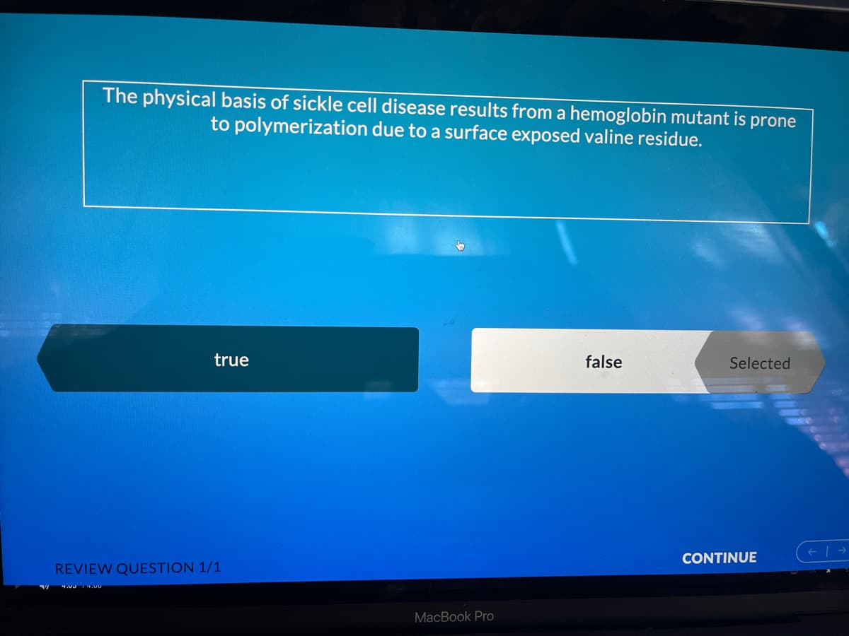 The physical basis of sickle cell disease results from a hemoglobin mutant is prone
to polymerization due to a surface exposed valine residue.
true
false
Selected
CONTINUE
REVIEW QUESTION 1/1
.00 .
MacBook Pro
