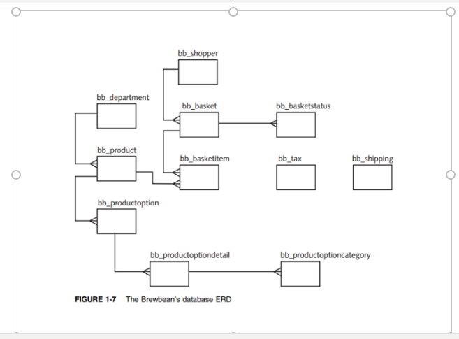 bb_shopper
bb_department
bb_basket
bb_basketstatus
bb_product
bb_basketitem
bb_tax
bb_shipping
bb_productoption
bb_productoptiondetail
bb_productoptioncategory
FIGURE 1-7 The Brewbean's database ERD
