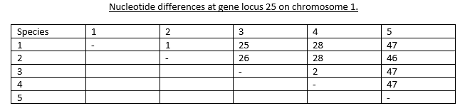 Nucleotide differences at gene locus 25 on chromosome 1.
Species
1
2
3
4
1
1.
25
28
47
2
26
28
46
3
47
4
47
