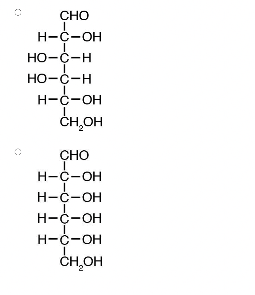 CHO
H-C-OH
H-O-OH
HO-C-H
H-C-OH
CH₂OH
CHO
I
H-C-OH
H-C-OH
H-C-OH
I
HO-O-H
CH₂OH