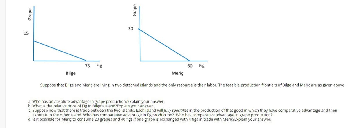 30
15
75
Fig
60
Fig
Bilge
Meriç
Suppose that Bilge and Meriç are living in two detached islands and the only resource is their labor. The feasible production frontiers of Bilge and Meriç are as given above
a. Who has an absolute advantage in grape production?Explain your answer.
b. What is the relative price of Fig in Bilge's Island?Explain your answer.
c. Suppose now that there is trade between the two islands. Each island will fully specialize in the production of that good in which they have comparative advantage and then
export it to the other island. Who has comparative advantage in fig production? Who has comparative advantage in grape production?
d. Is it possible for Meriç to consume 20 grapes and 40 figs if one grape is exchanged with 4 figs in trade with Meriç?Explain your answer.
Grape
Grape
