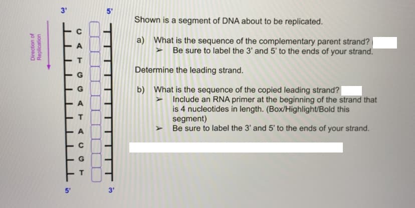 3'
5'
Shown is a segment of DNA about to be replicated.
a) What is the sequence of the complementary parent strand?
> Be sure to label the 3' and 5' to the ends of your strand.
Determine the leading strand.
b) What is the sequence of the copied leading strand?
> Include an RNA primer at the beginning of the strand that
is 4 nucleotides in length. (Box/Highlight/Bold this
segment)
Be sure to label the 3' and 5' to the ends of your strand.
5'
3'
Direction of
Replication

