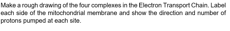 Make a rough drawing of the four complexes in the Electron Transport Chain. Label
each side of the mitochondrial membrane and show the direction and number of
protons pumped at each site.

