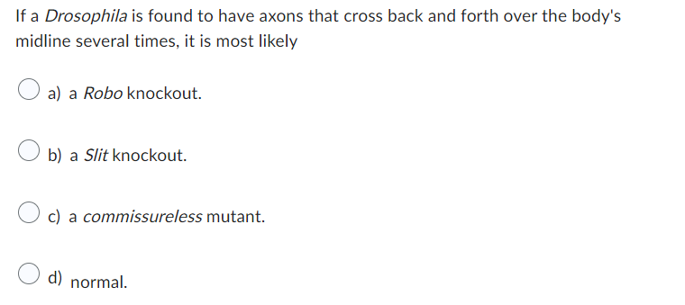 If a Drosophila is found to have axons that cross back and forth over the body's
midline several times, it is most likely
a) a Robo knockout.
b) a Slit knockout.
c) a commissureless mutant.
d) normal.