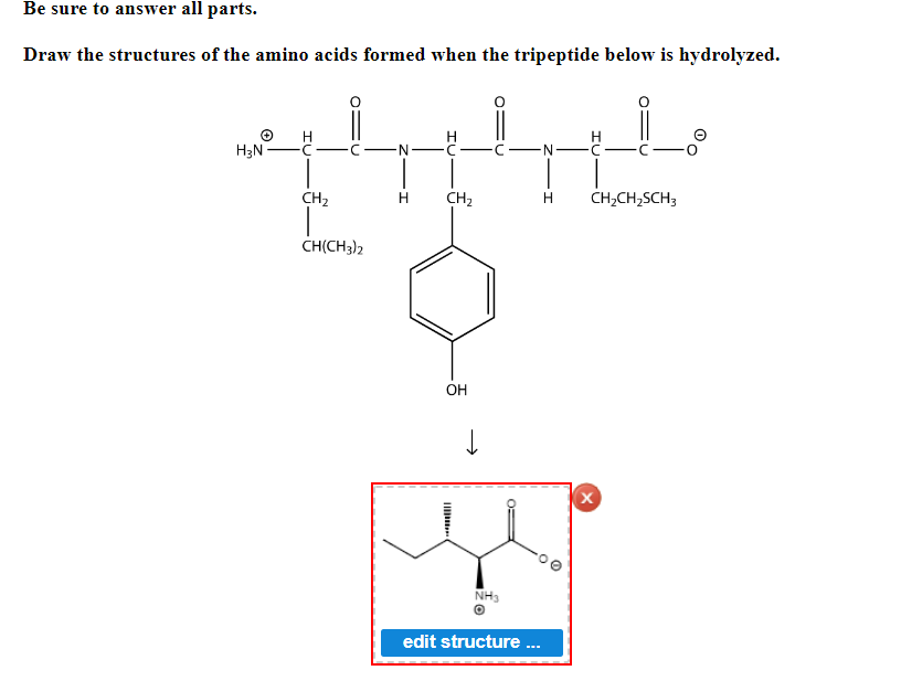 **Hydrolysis of a Tripeptide**

**Instruction:**
Draw the structures of the amino acids formed when the tripeptide below is hydrolyzed.

**Tripeptide Structure:**
The chemical structure of the tripeptide is presented. It consists of three amino acid residues connected via peptide bonds.

- The leftmost residue is valine (Val) with the side chain isopropyl group (CH(CH₃)₂).
- The middle residue is tyrosine (Tyr) with a benzene ring bearing a hydroxyl group (OH).
- The rightmost residue is methionine (Met) with a side chain containing a thioether group (CH₂CH₂SCH₃).

**Diagram Explanation:**
An arrow indicates the next step, depicting the hydrolysis of the tripeptide to yield individual amino acids. 

**Hydrolyzed Components:**
The lower structure, shown in red, represents one of the peptides resulting from the hydrolysis process. This specific peptide has the following structure:

- A central carbon (alpha carbon) bonded to an amino group (NH₃⁺).
- A carboxyl group (COO⁻).
- A side chain specific to one of the amino acids from the original tripeptide.

The exact structure illustrated below the arrow is the alpha-amino acid with its side chain intact as the tripeptide splits into its constituent amino acids.

**Edit Prompt:**
- The image includes an editable structure button labeled “edit structure ...” indicating that the viewer can interact with the structure for educational purposes.

**Key Learning Points:**
- Understanding peptide bond formation and hydrolysis.
- Recognizing the structure of amino acids.
- Ability to translate chemical structures into their corresponding amino acids.

This exercise helps students learn how to identify specific amino acids resulting from enzymatic or chemical hydrolysis of peptides, a fundamental concept in biochemistry.