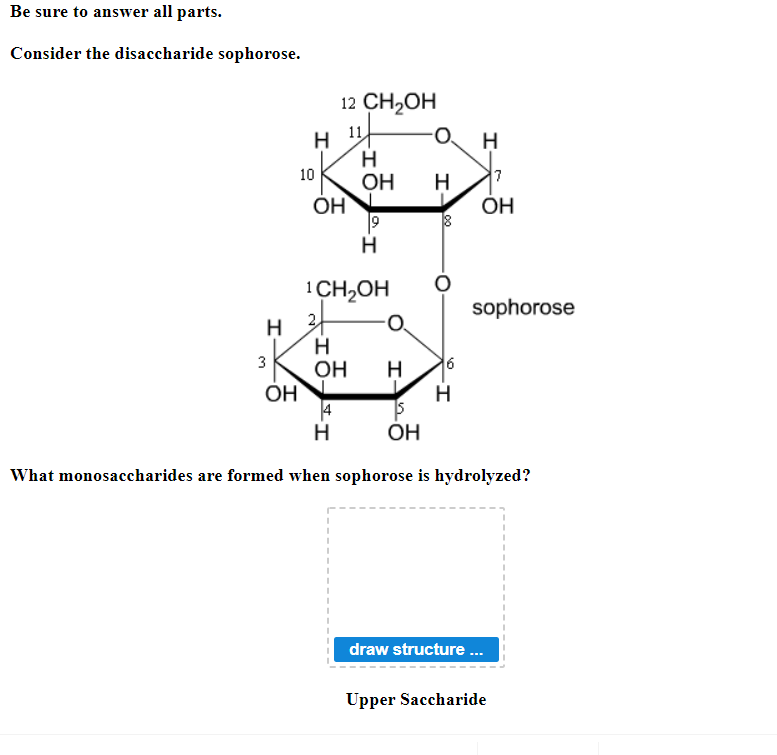 **Consider the Disaccharide Sophorose**

**Diagram of Sophorose:**
The provided diagram shows the chemical structure of the disaccharide sophorose. It consists of two monosaccharide units connected by a glycosidic bond. Numbering of the carbon atoms from 1 to 12 is indicated, with each carbon in its respective glucose ring structure. The chemical groups attached to each carbon and the hydrogen atoms are also clearly depicted.

**Hydrolysis of Sophorose:**
When sophorose undergoes hydrolysis, it breaks down into its constituent monosaccharides.

**Question:**
What monosaccharides are formed when sophorose is hydrolyzed?

**Diagram Box:**
There is a placeholder box labeled "Upper Saccharide" where the structure of one of the resultant monosaccharides can be drawn.

**Graphical Instructions:**
- Draw the structure of the monosaccharide that corresponds to the upper part of the sophorose molecule after hydrolysis in the placeholder box provided.

Note: Ensure accuracy in depicting the chemical structure, including carbon numbering and hydrogen/oxygen attachments, for a complete representation of the monosaccharide.

**Educational context:**
This page educates students on the structure of the disaccharide sophorose and the process of hydrolysis that breaks it down into monosaccharides. The accompanying diagram and instructions facilitate a hands-on learning experience in drawing and understanding monosaccharide structures.