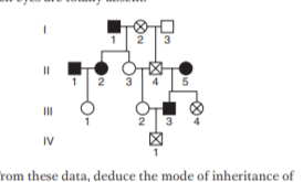 II
3
IV
rom these data, deduce the mode of inheritance of
