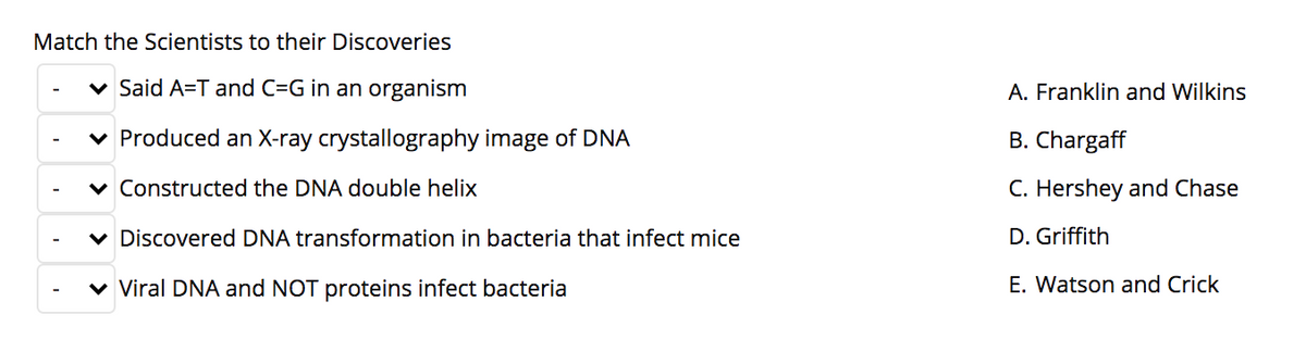 Match the Scientists to their Discoveries
v Said A=T and C=G in an organism
A. Franklin and Wilkins
v Produced an X-ray crystallography image of DNA
B. Chargaff
v Constructed the DNA double helix
C. Hershey and Chase
v Discovered DNA transformation in bacteria that infect mice
D. Griffith
v Viral DNA and NOT proteins infect bacteria
E. Watson and Crick
