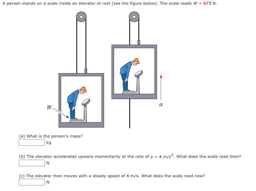 A person stands on a scale inside an elevator at rest (see the figure below). The scale reads W = 673 N.
a
W
(a) What is the person's mass?
kg
(b) The elevator accelerates upward momentarily at the rate of a = 4 m/s?. what does the scale read then?
N
(c) The elevator then moves with a steady speed of 4 m/s. What does the scale read now?
