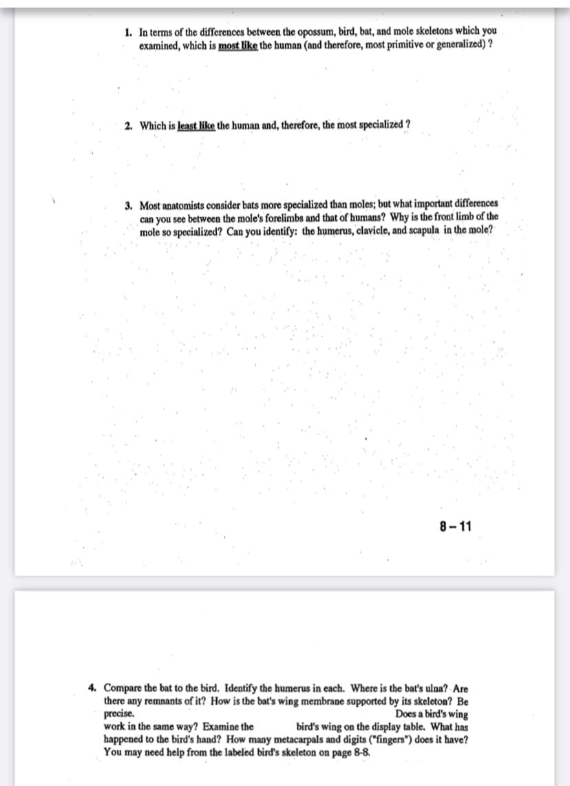 1. In terms of the differences between the opossum, bird, bat, and mole skeletons which you
examined, which is most like the human (and therefore, most primitive or generalized)?
2. Which is least like the human and, therefore, the most specialized ?
3. Most anatomists consider bats more specialized than moles; but what important differences
can you see between the mole's forelimbs and that of humans? Why is the front limb of the
mole so specialized? Can you identify: the humerus, clavicle, and scapula in the mole?
8-11
4. Compare the bat to the bird. Identify the humerus in each. Where is the bat's ulna? Are
there any remnants of it? How is the bat's wing membrane supported by its skeleton? Be
precise.
Does a bird's wing
work in the same way? Examine the
bird's wing on the display table. What has
happened to the bird's hand? How many metacarpals and digits ("fingers") does it have?
You may need help from the labeled bird's skeleton on page 8-8.
