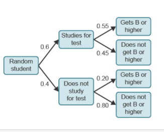 Gets B or
higher
0.55
Studies for
test
Does not
0.6
0.45
get B or
higher
Random
student
Gets B or
0.20
04
Does not
higher
study
for test
Does not
get B or
higher
0.80
