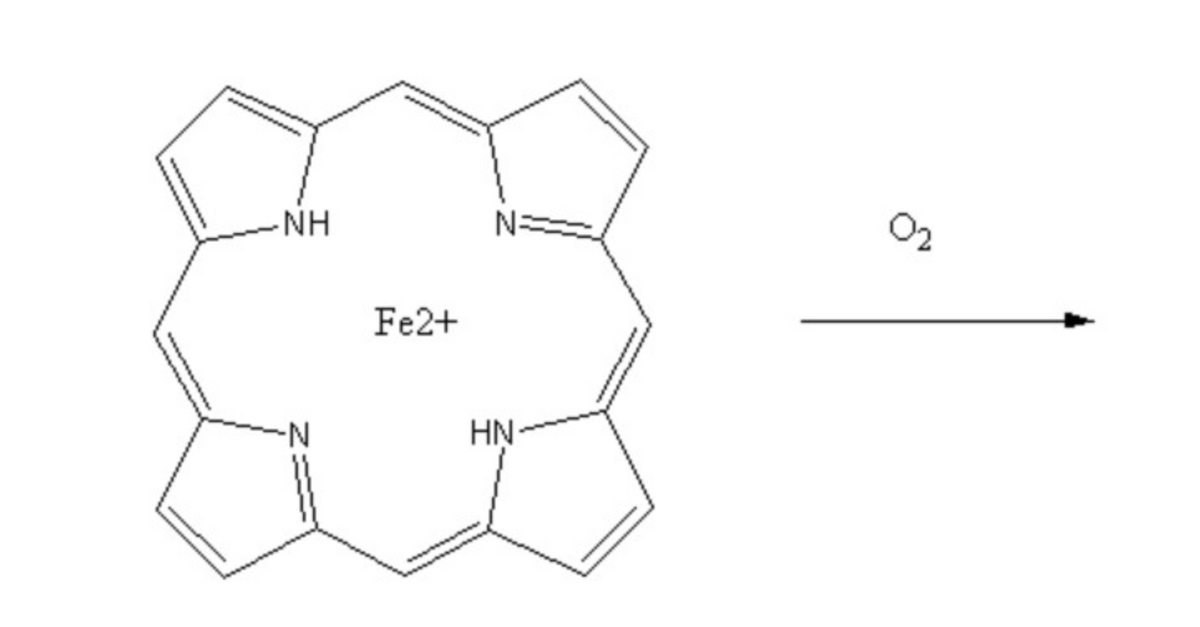 02
-NH
N:
Fe2+
-N-
HN
