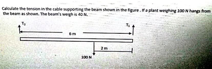 Calculate the tension in the cable supporting the beam shown in the figure. If a plant weighing 100 N hangs from
the beam as shown. The beam's weigh is 40 N.
T2
6 m
2 m
100 N
