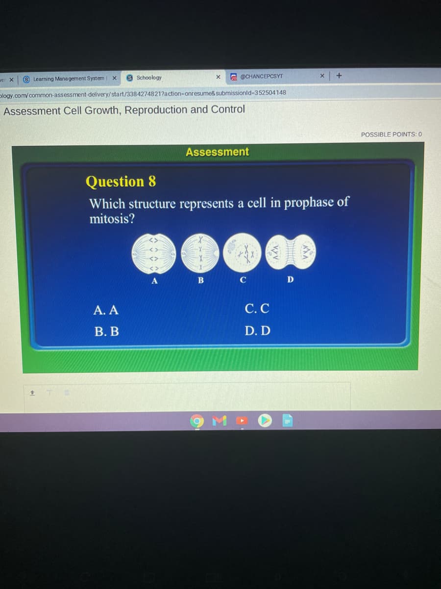 wei X
8 Learning Management System
8 Schoology
A @CHANCEPCSYT
plogy.com/common-assessment-delivery/start/3384274821?action=Donresume& submissionld-352504148
Assessment Cell Growth, Reproduction and Control
POSSIBLE POINTS: 0
Assessment
Question 8
Which structure represents a cell in prophase of
mitosis?
B
C
А. А
С. С
В. В
D. D
