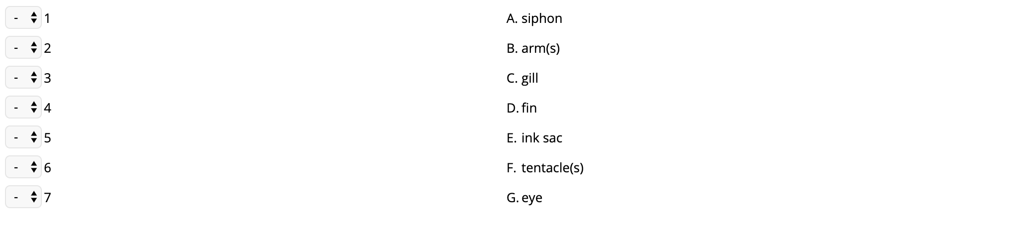 A. siphon
수1
B. arm(s)
수 2
C. gil
D. fin
수 4
E. ink sac
수5
F. tentacle(s)
G. eye
