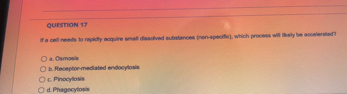 QUESTION 17
If a cell needs to rapidly acquire small dissolved substances (non-specific), which process will likely be accelerated?
a. Osmosis
O b. Receptor-mediated endocytosis
O c. Pinocytosis
O d. Phagocytosis