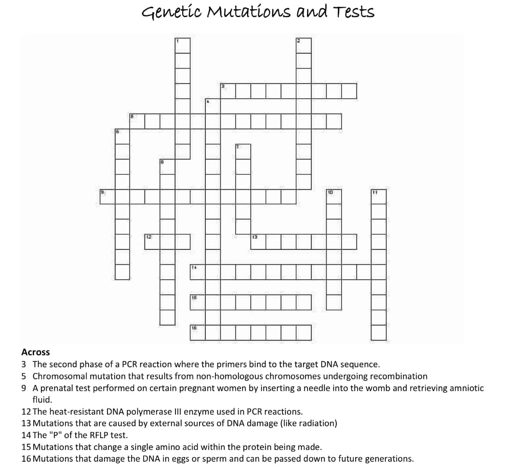 Genetic Mutations and Tests
Across
3 The second phase of a PCR reaction where the primers bind to the target DNA sequence.
5 Chromosomal mutation that results from non-homologous chromosomes undergoing recombination
9 A prenatal test performed on certain pregnant women by inserting a needle into the womb and retrieving amniotic
fluid.
12 The heat-resistant DNA polymerase III enzyme used in PCR reactions.
13 Mutations that are caused by external sources of DNA damage (like radiation)
14 The "P" of the RFLP test.
15 Mutations that change a single amino acid within the protein eing made.
16 Mutations that damage the DNA in eggs or sperm and can be passed down to future generations.