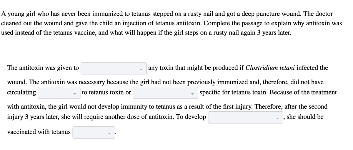 A young girl who has never been immunized to tetanus stepped on a rusty nail and got a deep puncture wound. The doctor
cleaned out the wound and gave the child an injection of tetanus antitoxin. Complete the passage to explain why antitoxin was
used instead of the tetanus vaccine, and what will happen if the girl steps on a rusty nail again 3 years later.
The antitoxin was given to
any toxin that might be produced if Clostridium tetani infected the
wound. The antitoxin was necessary because the girl had not been previously immunized and, therefore, did not have
circulating
to tetanus toxin or
specific for tetanus toxin. Because of the treatment
with antitoxin, the girl would not develop immunity to tetanus as a result of the first injury. Therefore, after the second
injury 3 years later, she will require another dose of antitoxin. To develop
vaccinated with tetanus
she should be