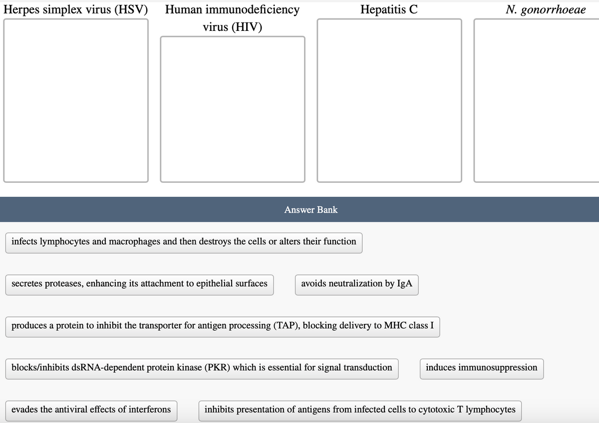 Herpes simplex virus (HSV) Human immunodeficiency
virus (HIV)
Hepatitis C
N. gonorrhoeae
Answer Bank
infects lymphocytes and macrophages and then destroys the cells or alters their function
secretes proteases, enhancing its attachment to epithelial surfaces
avoids neutralization by IgA
produces a protein to inhibit the transporter for antigen processing (TAP), blocking delivery to MHC class I
blocks/inhibits dsRNA-dependent protein kinase (PKR) which is essential for signal transduction
induces immunosuppression
evades the antiviral effects of interferons
inhibits presentation of antigens from infected cells to cytotoxic T lymphocytes