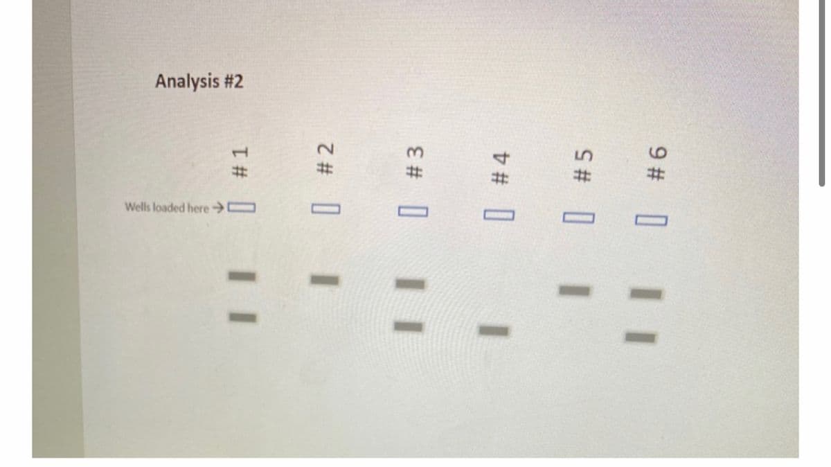 Analysis #2
%23
Wells loaded here O
| # 1
I| #2
|| | #3
