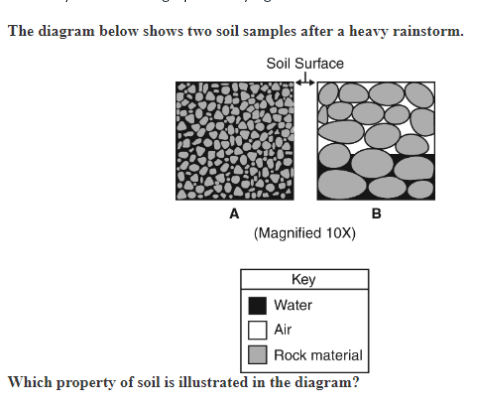 The diagram below shows two soil samples after a heavy rainstorm.
Soil Surface
A
ܝܠܐ
(Magnified 10X)
Key
Water
Air
Rock material
Which property of soil is illustrated in the diagram?
B