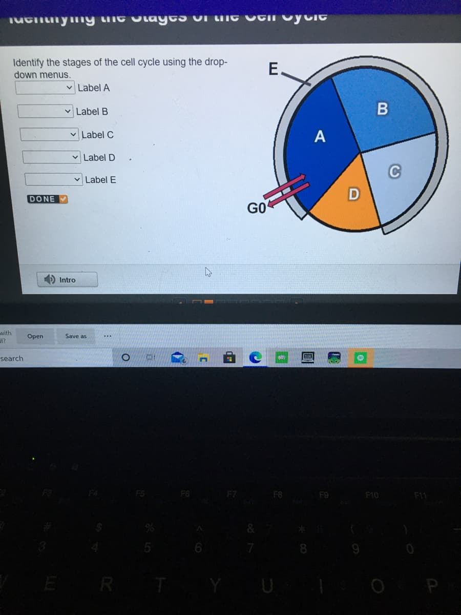 Identify the stages of the cell cycle using the drop-
down menus.
E.
v Label A
V Label B
v Label C
A
Label D
vLabel E
DONE
GO
1) Intro
with
f?
Open
Save as
...
search
F7
F8
F9
F10
F11
8.
E RT
圓
