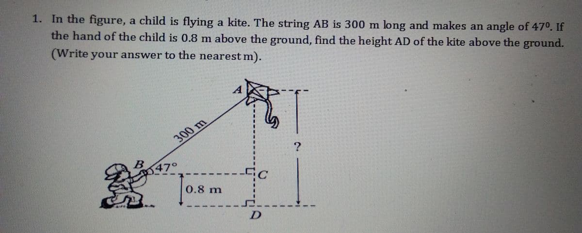 1. In the figure, a child is flying a kite. The string AB is 300 m long and makes an angle of 470. If
the hand of the child is 0.8 m above the ground, find the height AD of the kite above the ground.
(Write your answer to the nearest m).
300 m
47°
0.8 m
