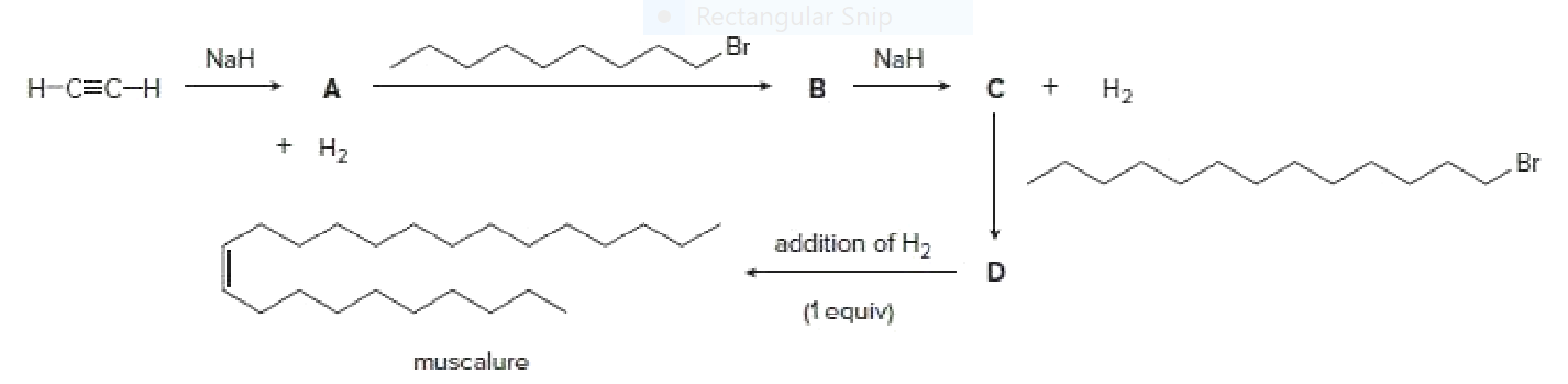 Rectang
Snip
Br
NaH
NaH
H-C=C-H
B
H2
+ H2
Br
addition of H,
(1equiv)
muscalure
