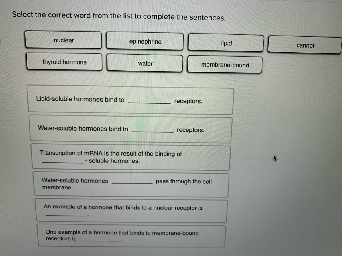 Select the correct word from the list to complete the sentences.
nuclear
epinephrine
lipid
cannot
thyroid hormone
water
membrane-bound
Lipid-soluble hormones bind to
receptors.
Water-soluble hormones bind to
receptors.
Transcription of mRNA is the result of the binding of
- soluble hormones.
Water-soluble hormones
membrane.
pass through the cell
An example of a hormone that binds to a nuclear receptor is
One example of a hormone that binds to membrane-bound
receptors is
